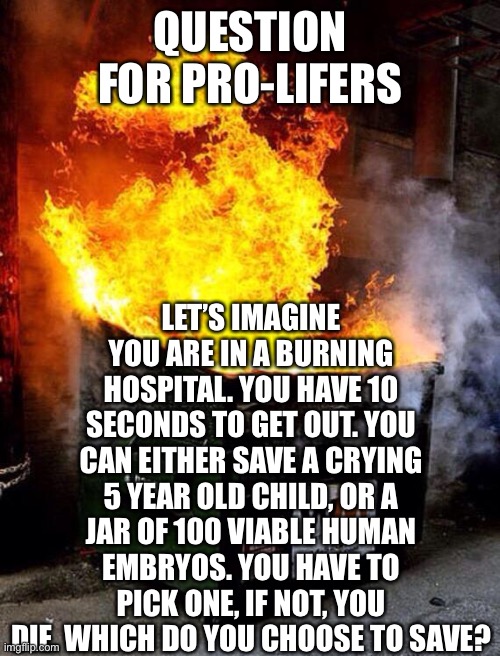 Question For Pro-Lifers | QUESTION FOR PRO-LIFERS; LET’S IMAGINE YOU ARE IN A BURNING HOSPITAL. YOU HAVE 10 SECONDS TO GET OUT. YOU CAN EITHER SAVE A CRYING 5 YEAR OLD CHILD, OR A JAR OF 100 VIABLE HUMAN EMBRYOS. YOU HAVE TO PICK ONE, IF NOT, YOU DIE. WHICH DO YOU CHOOSE TO SAVE? | image tagged in dumpster fire | made w/ Imgflip meme maker