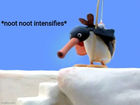 #nootnootgang | *noot noot intensifies* | image tagged in noot noot | made w/ Imgflip meme maker