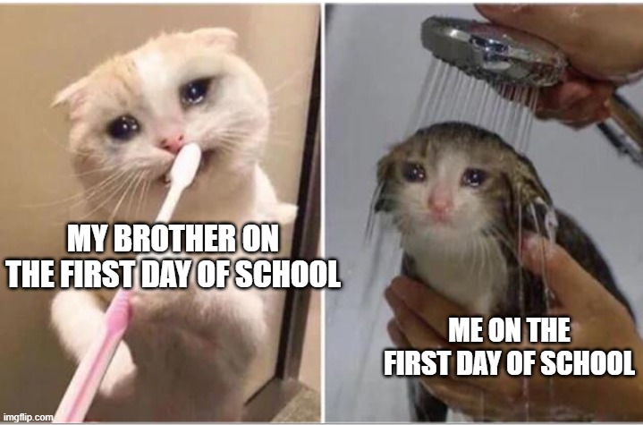 Sad cats | MY BROTHER ON THE FIRST DAY OF SCHOOL; ME ON THE FIRST DAY OF SCHOOL | image tagged in sad cats | made w/ Imgflip meme maker