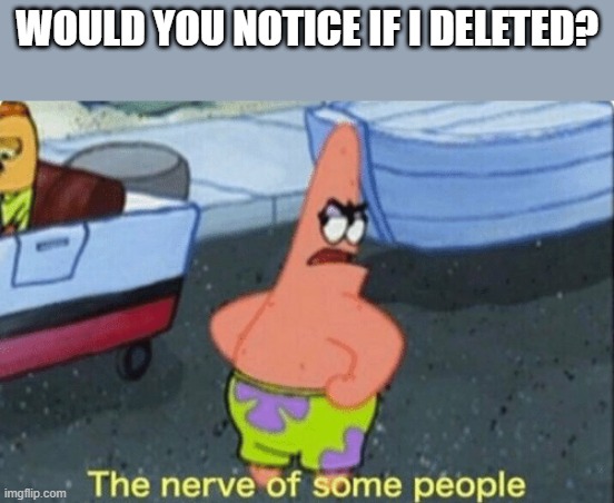 Patrick the nerve of some people | WOULD YOU NOTICE IF I DELETED? | image tagged in patrick the nerve of some people | made w/ Imgflip meme maker
