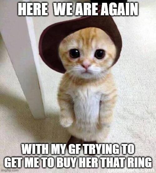 Cute Cat | HERE  WE ARE AGAIN; WITH MY GF TRYING TO GET ME TO BUY HER THAT RING | image tagged in cute cat | made w/ Imgflip meme maker