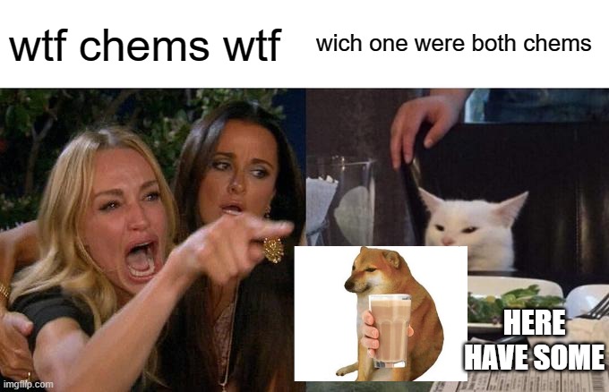 Woman Yelling At Cat Meme | wtf chems wtf; wich one were both chems; HERE HAVE SOME | image tagged in memes,woman yelling at cat | made w/ Imgflip meme maker