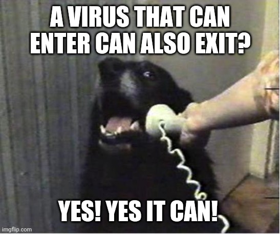Yes this is dog | A VIRUS THAT CAN ENTER CAN ALSO EXIT? YES! YES IT CAN! | image tagged in yes this is dog | made w/ Imgflip meme maker