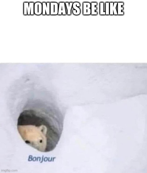 Bonjour | MONDAYS BE LIKE | image tagged in bonjour | made w/ Imgflip meme maker