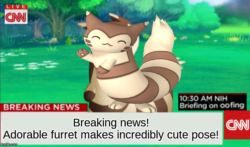 AWWWW | Breaking news!
Adorable furret makes incredibly cute pose! | image tagged in breaking news furret | made w/ Imgflip meme maker