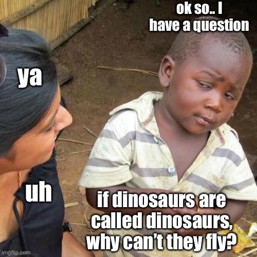 hmmm dinosaurs | ok so.. I have a question; ya; uh; if dinosaurs are called dinosaurs, why can’t they fly? | image tagged in memes,dinosaurs,hmmm,reeeeeeeeeeeeeeeeeeeeee | made w/ Imgflip meme maker