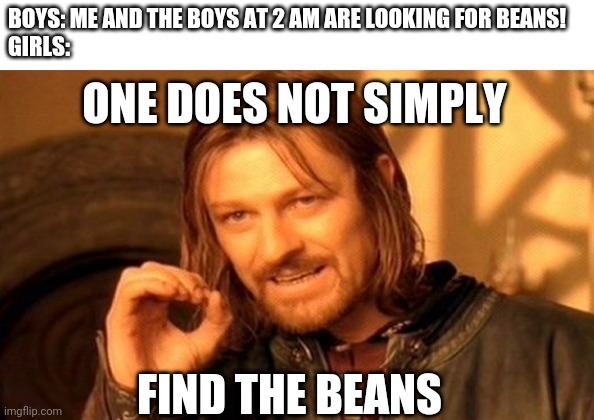 One Does Not Simply Meme | BOYS: ME AND THE BOYS AT 2 AM ARE LOOKING FOR BEANS!
GIRLS:; ONE DOES NOT SIMPLY; FIND THE BEANS | image tagged in memes,one does not simply | made w/ Imgflip meme maker