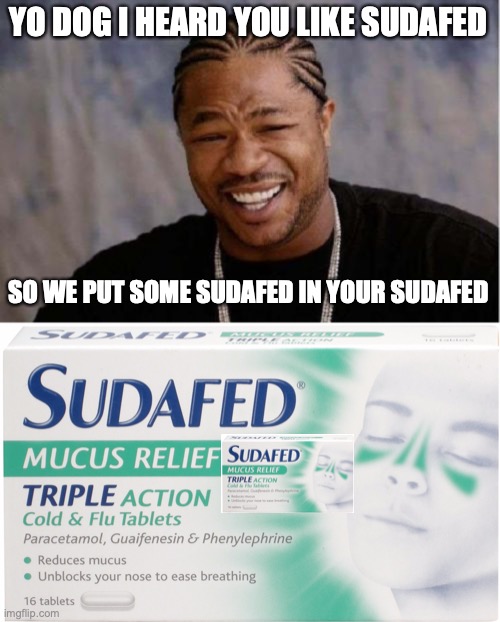 YO DOG I HEARD YOU LIKE SUDAFED; SO WE PUT SOME SUDAFED IN YOUR SUDAFED | image tagged in memes,yo dawg heard you,uk sudafed recommended by 1 out of 45 presidents | made w/ Imgflip meme maker