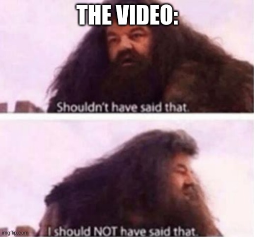 Shouldn't have said that | THE VIDEO: | image tagged in shouldn't have said that | made w/ Imgflip meme maker