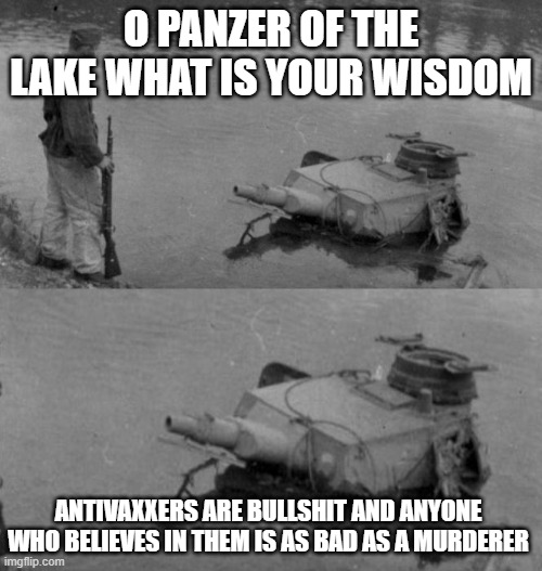 stop antivaxxers | O PANZER OF THE LAKE WHAT IS YOUR WISDOM; ANTIVAXXERS ARE BULLSHIT AND ANYONE WHO BELIEVES IN THEM IS AS BAD AS A MURDERER | image tagged in panzer of the lake | made w/ Imgflip meme maker