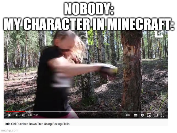 Minecraft | NOBODY:
MY CHARACTER IN MINECRAFT: | image tagged in minecraft,memes | made w/ Imgflip meme maker