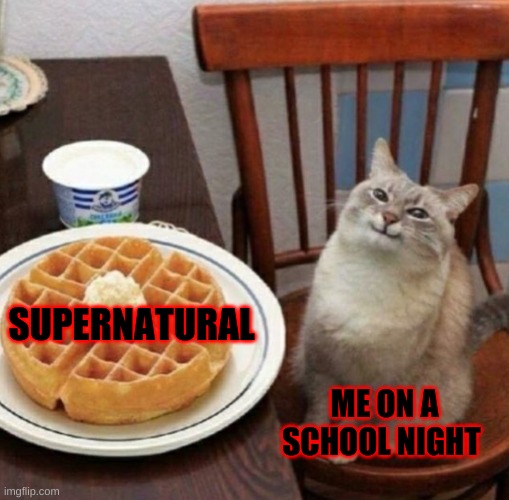 Supernatural vs. School night. | SUPERNATURAL; ME ON A SCHOOL NIGHT | image tagged in cat likes their waffle | made w/ Imgflip meme maker