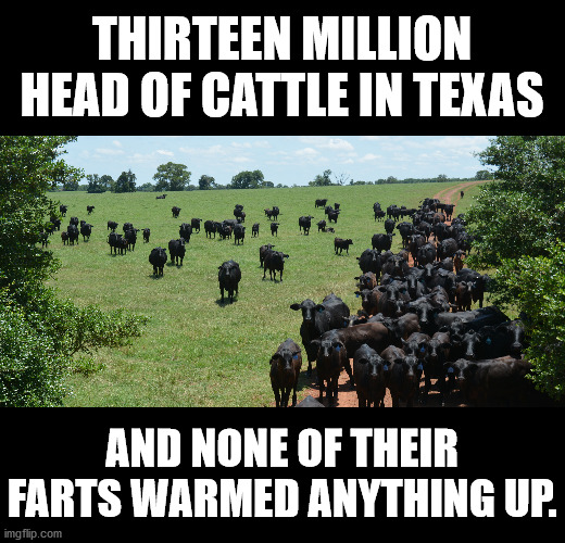 If AOC says the earth is going to burn up in 10 years then how is their snow in Texas? | THIRTEEN MILLION HEAD OF CATTLE IN TEXAS; AND NONE OF THEIR FARTS WARMED ANYTHING UP. | image tagged in global warming hoax,cattle farts,texas snow | made w/ Imgflip meme maker