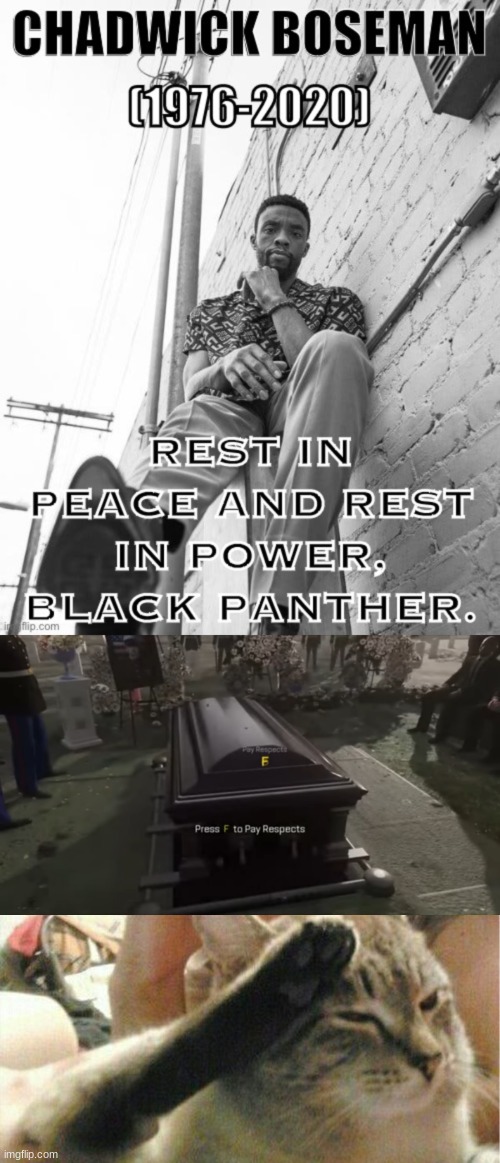 image tagged in rip chadwick boseman,press f to pay respects,press f cat | made w/ Imgflip meme maker