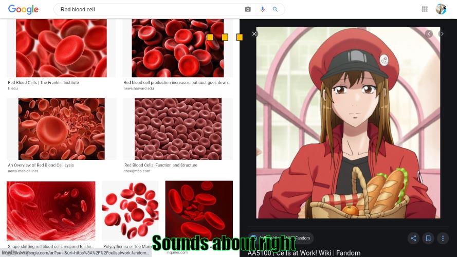 ANIME | . . . Sounds about right | image tagged in cellatwork,red blood cell,meme,animememe,imotaku | made w/ Imgflip meme maker