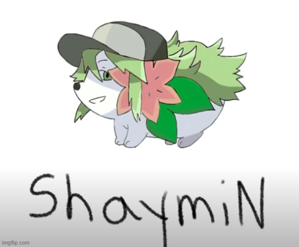 image tagged in pokemon,shaymin,n | made w/ Imgflip meme maker