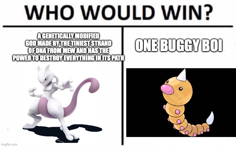 Who Would Win? | A GENETICALLY MODIFIED GOD MADE BY THE TINIEST STRAND OF DNA FROM MEW AND HAS THE POWER TO DESTROY EVERYTHING IN ITS PATH; ONE BUGGY BOI | image tagged in memes,who would win | made w/ Imgflip meme maker