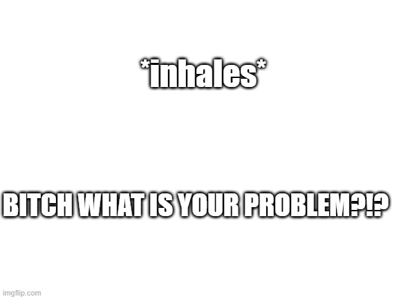 Blank White Template | *inhales*; BITCH WHAT IS YOUR PROBLEM?!? | image tagged in blank white template | made w/ Imgflip meme maker