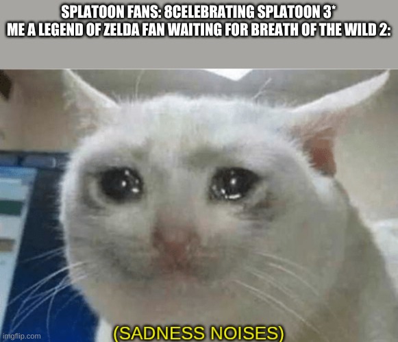 still nothing | SPLATOON FANS: 8CELEBRATING SPLATOON 3*
ME A LEGEND OF ZELDA FAN WAITING FOR BREATH OF THE WILD 2: | image tagged in sadness noises | made w/ Imgflip meme maker