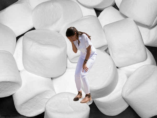 Marshmallow | image tagged in marshmallow | made w/ Imgflip meme maker