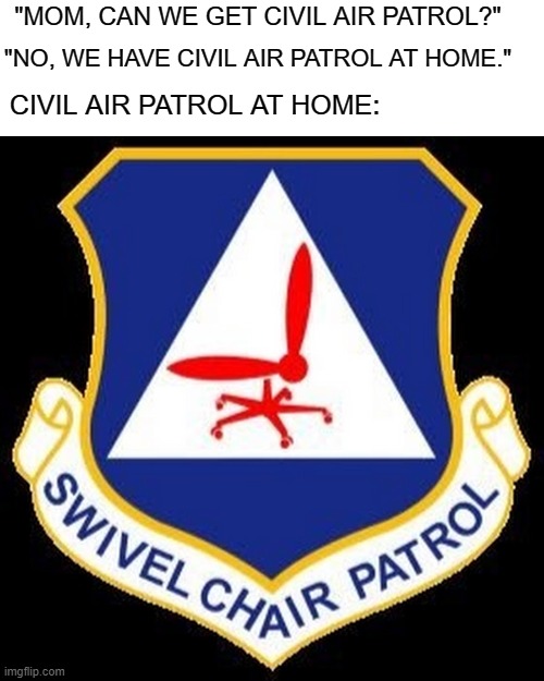 Swivel Chair Patrol | "MOM, CAN WE GET CIVIL AIR PATROL?"; "NO, WE HAVE CIVIL AIR PATROL AT HOME."; CIVIL AIR PATROL AT HOME: | image tagged in chair,military,air force | made w/ Imgflip meme maker