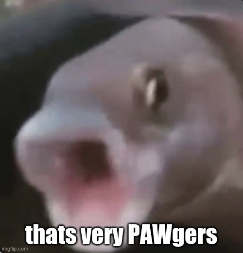 Poggers Fish | thats very PAWgers | image tagged in poggers fish | made w/ Imgflip meme maker