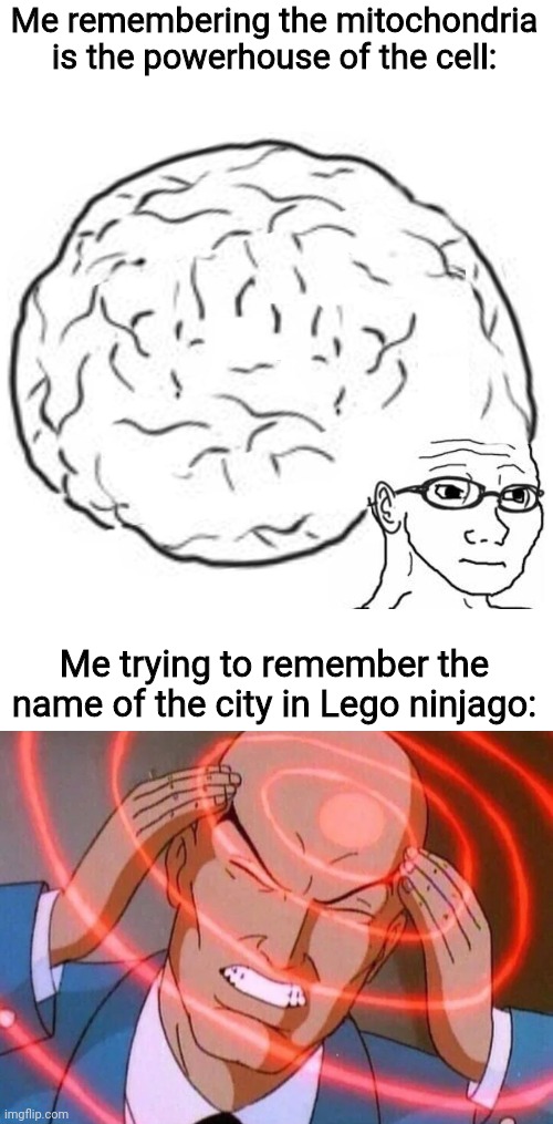Me remembering the mitochondria is the powerhouse of the cell:; Me trying to remember the name of the city in Lego ninjago: | image tagged in big brain,trying to remember,funny,memes | made w/ Imgflip meme maker