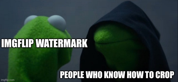 Idk how to crop :P | IMGFLIP WATERMARK; PEOPLE WHO KNOW HOW TO CROP | image tagged in memes,evil kermit | made w/ Imgflip meme maker