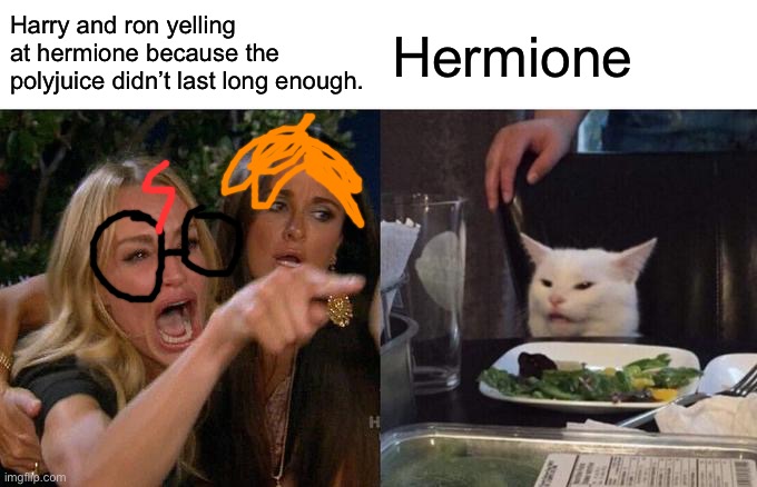 Dija miss meeee? | Harry and ron yelling at hermione because the polyjuice didn’t last long enough. Hermione | image tagged in memes,woman yelling at cat | made w/ Imgflip meme maker