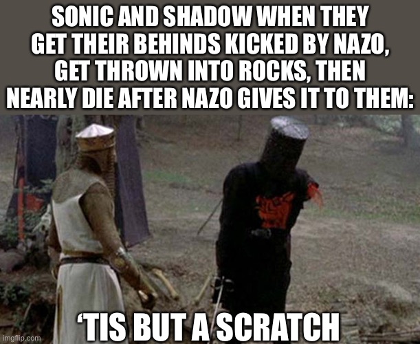 WTF HOW ARE THEY STILL ALIVE?! | SONIC AND SHADOW WHEN THEY GET THEIR BEHINDS KICKED BY NAZO, GET THROWN INTO ROCKS, THEN NEARLY DIE AFTER NAZO GIVES IT TO THEM:; ‘TIS BUT A SCRATCH | image tagged in tis but a scratch,how tough are you,wtf,wth,cheat,what | made w/ Imgflip meme maker