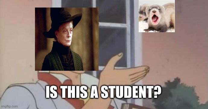 Lmao | IS THIS A STUDENT? | image tagged in is this a pigeon | made w/ Imgflip meme maker