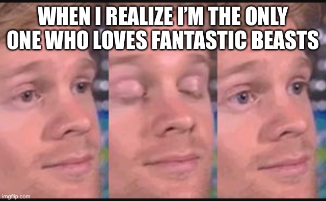 Hyped for the third | WHEN I REALIZE I’M THE ONLY ONE WHO LOVES FANTASTIC BEASTS | image tagged in blinking guy | made w/ Imgflip meme maker