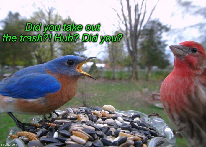 Did you take out the trash?! Huh? Did you? | made w/ Imgflip meme maker