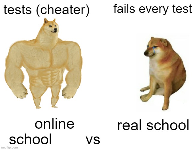 Buff Doge vs. Cheems | tests (cheater); fails every test; online
school        vs; real school | image tagged in memes,buff doge vs cheems | made w/ Imgflip meme maker