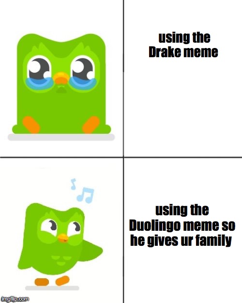Duolingo memes #1 |  using the Drake meme; using the Duolingo meme so he gives ur family | image tagged in duolingo drake meme | made w/ Imgflip meme maker