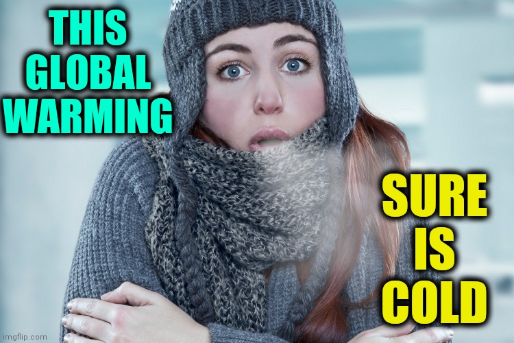 Where's the Warming Part of Global Warming? | SURE IS COLD; THIS GLOBAL WARMING | image tagged in vince vance,global warming,hoax,memes,winter,freezing cold | made w/ Imgflip meme maker