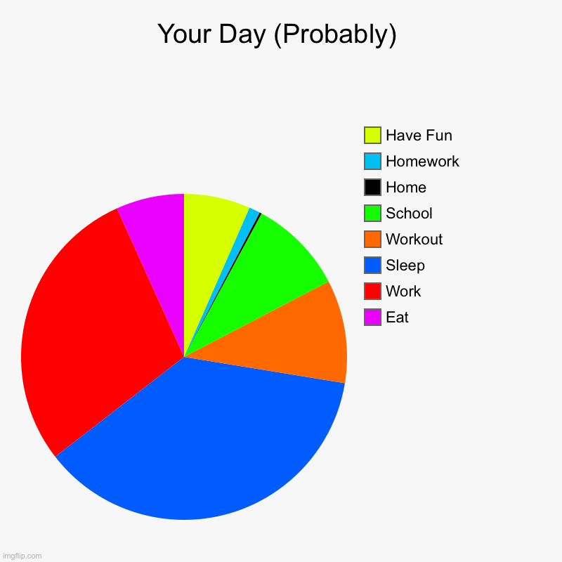 You Day | Your Day (Probably) | Eat, Work, Sleep, Workout, School, Home, Homework, Have Fun | image tagged in charts,pie charts | made w/ Imgflip chart maker