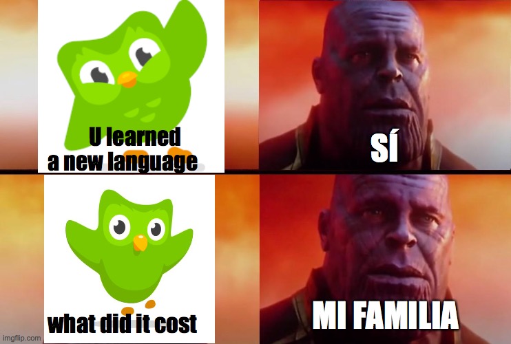 duolingo memes #2 | SÍ; U learned a new language; MI FAMILIA; what did it cost | image tagged in thanos what did it cost | made w/ Imgflip meme maker