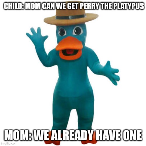 Mom can we get a Perry the platypus | CHILD: MOM CAN WE GET PERRY THE PLATYPUS; MOM: WE ALREADY HAVE ONE | image tagged in phineas and ferb,mom,children,funny,funny meme | made w/ Imgflip meme maker