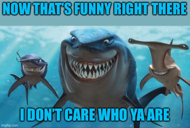 Finding Nemo Sharks | NOW THAT’S FUNNY RIGHT THERE I DON’T CARE WHO YA ARE | image tagged in finding nemo sharks | made w/ Imgflip meme maker
