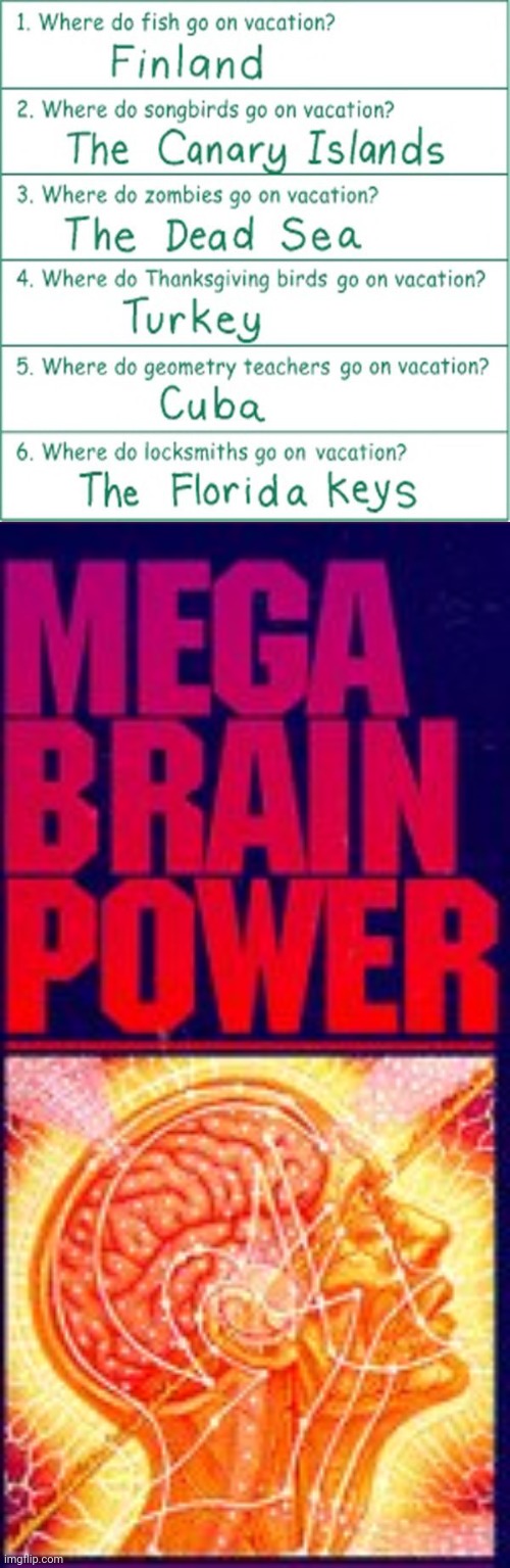 Big brain time, wow | image tagged in mega brain power,memes,meme,big brain time,questions,funny memes | made w/ Imgflip meme maker