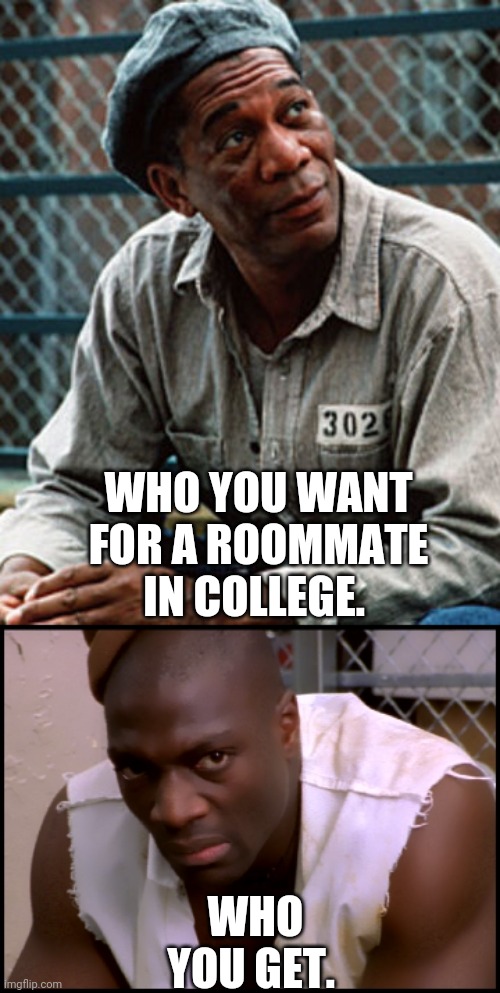 College roommate | WHO YOU WANT FOR A ROOMMATE IN COLLEGE. WHO YOU GET. | image tagged in college,roommates,prison | made w/ Imgflip meme maker