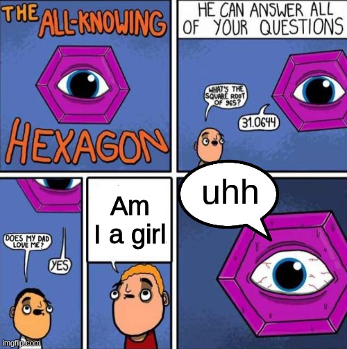 are they? | uhh; Am I a girl | image tagged in all knowing hexagon original | made w/ Imgflip meme maker