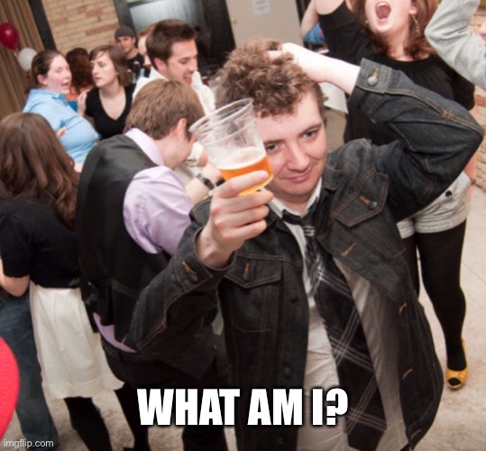 What am I doing | WHAT AM I? | image tagged in what am i doing | made w/ Imgflip meme maker