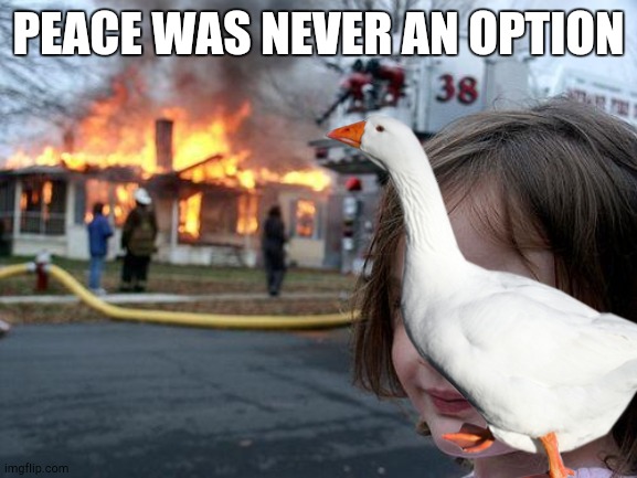 Goose | PEACE WAS NEVER AN OPTION | image tagged in duck,untitled goose peace was never an option | made w/ Imgflip meme maker