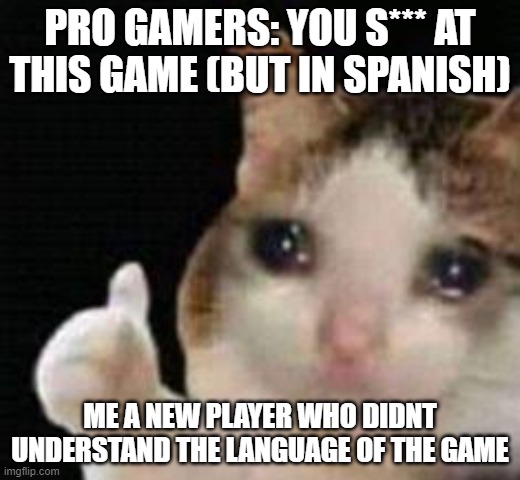 Me as a new player at a game but the game language is not understandble- |  PRO GAMERS: YOU S*** AT THIS GAME (BUT IN SPANISH); ME A NEW PLAYER WHO DIDNT UNDERSTAND THE LANGUAGE OF THE GAME | image tagged in approved crying cat | made w/ Imgflip meme maker