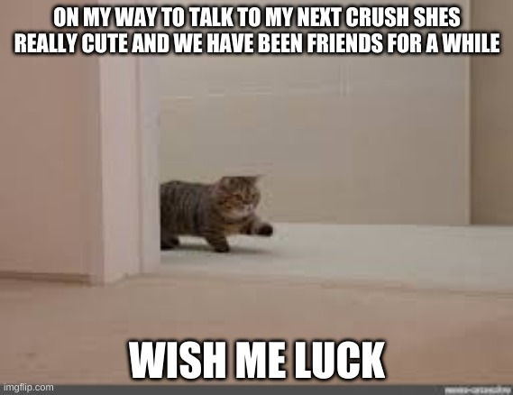 ok i had more than 1 crush -_- | ON MY WAY TO TALK TO MY NEXT CRUSH SHES REALLY CUTE AND WE HAVE BEEN FRIENDS FOR A WHILE; WISH ME LUCK | image tagged in cute girl,crush | made w/ Imgflip meme maker