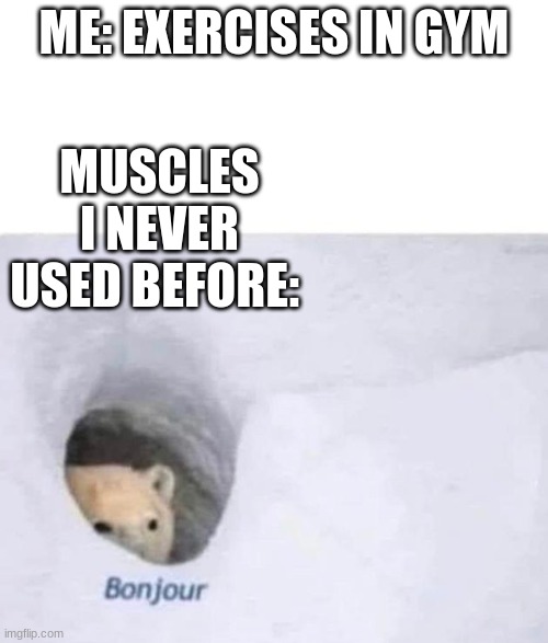 Muscles that never existed before | MUSCLES I NEVER USED BEFORE:; ME: EXERCISES IN GYM | image tagged in bonjour | made w/ Imgflip meme maker