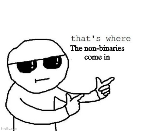 That's where you're wrong kiddo | The non-binaries come in | image tagged in that's where you're wrong kiddo | made w/ Imgflip meme maker