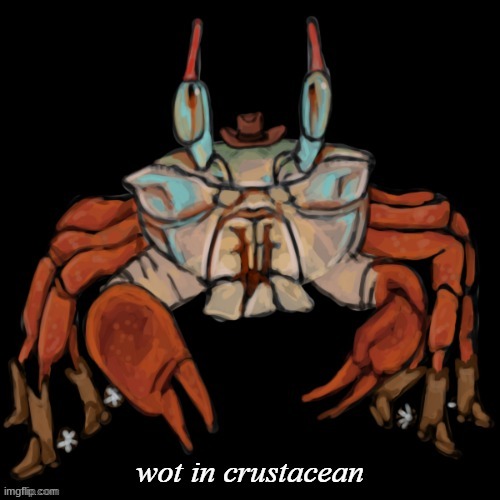 wot in crustacean | image tagged in wot in crustacean | made w/ Imgflip meme maker